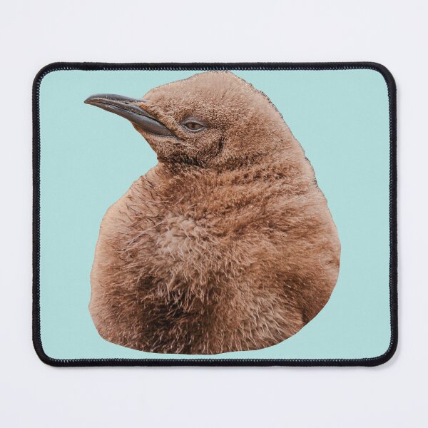Item preview, King Penguin Chick designed and sold by Dalyndigital Photography.