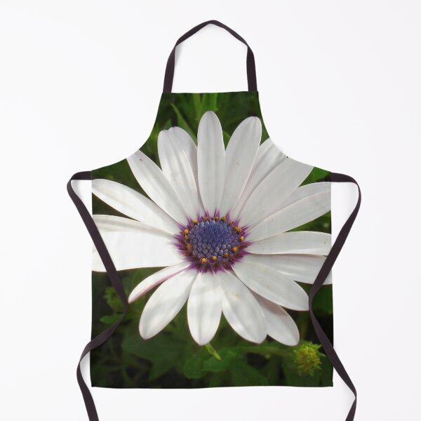 Item preview, Beautiful Osteospermum White Daisy With Purple Center designed and sold by taiche.