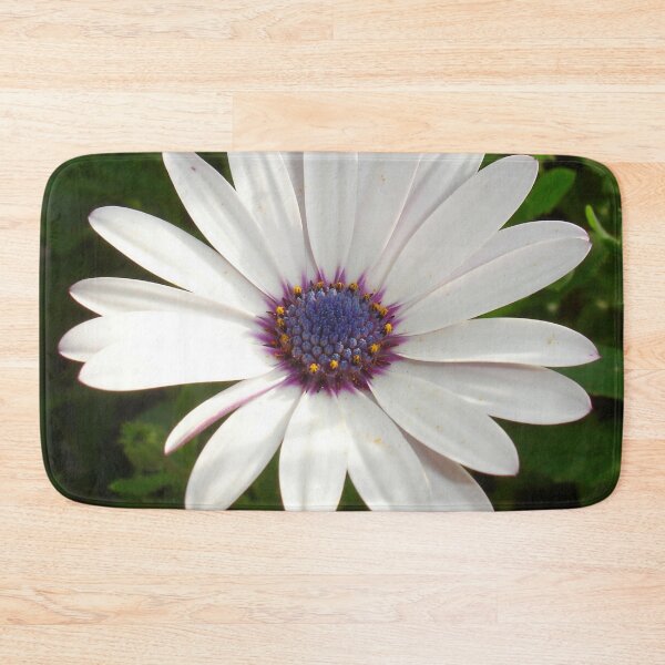 Item preview, Beautiful Osteospermum White Daisy With Purple Center  designed and sold by taiche.