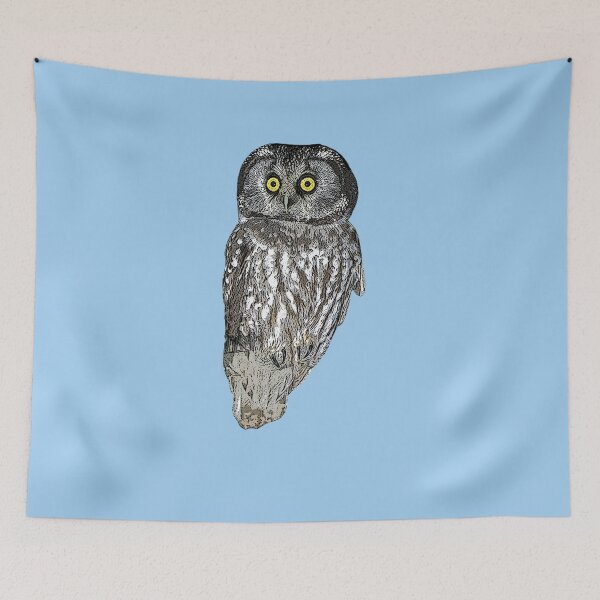 Item preview, Boreal Owl Color Design  designed and sold by designsasstultd.