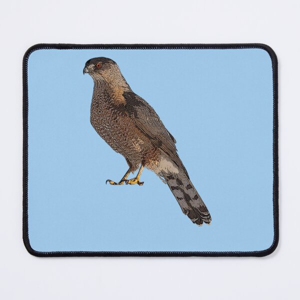 Item preview, Cooper's Hawk Color Design  designed and sold by designsasstultd.