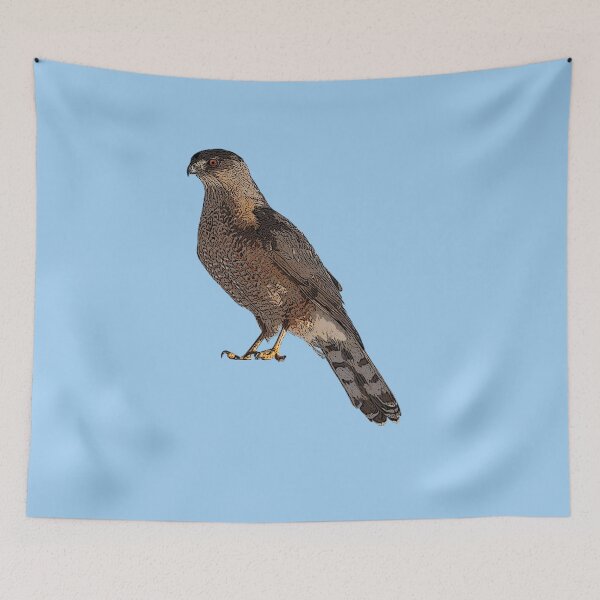 Item preview, Cooper's Hawk Color Design  designed and sold by designsasstultd.
