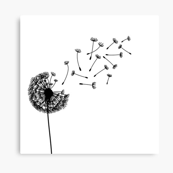 Make a wish Canvas Print