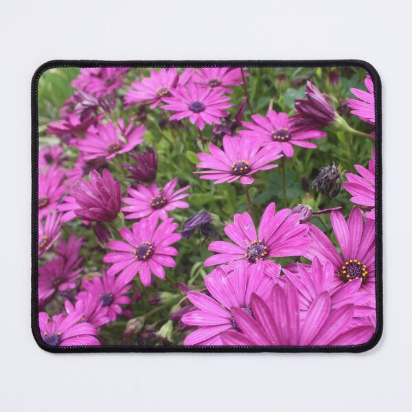 Item preview, Daisies Spring In All Their Splendor designed and sold by taiche.