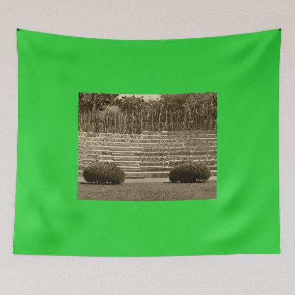 Aperçu de l'œuvre Amphithéâtre Parc Animalier Valencia Tint créée et vendue par eddiebarronshop.