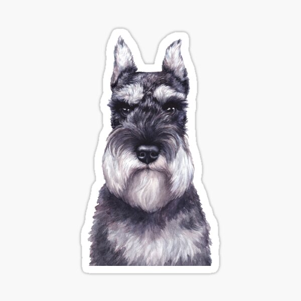 Schnauzer Car Sticker Dog Car Decal Schnauzer Decal Car Decoration Pet  Decal Schnauzer Decals Schnauzer Auto Schnauzer Decal Gift 195 