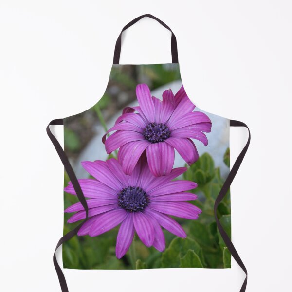 Item preview, Purple and Pink African Daisy Flowers designed and sold by taiche.