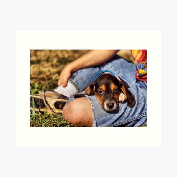 Lazy Days Art Print