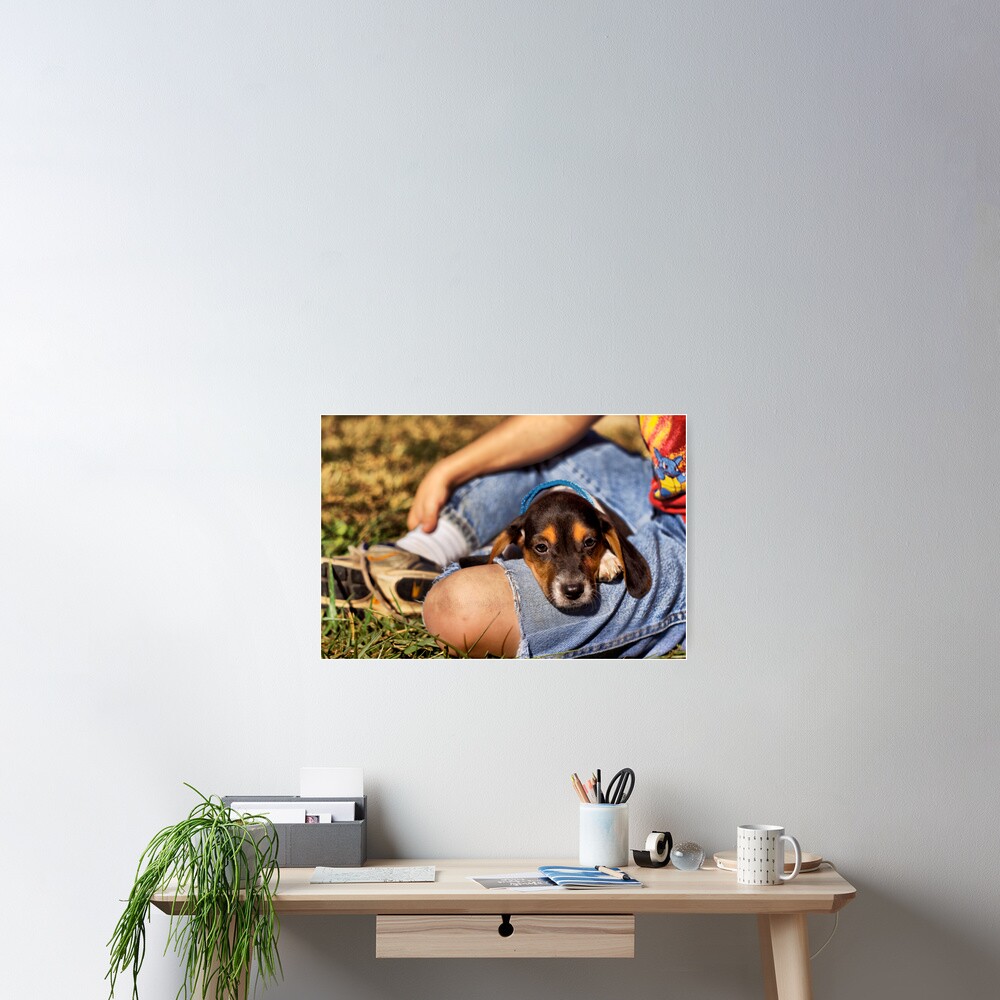 Item preview, Poster designed and sold by believer9.