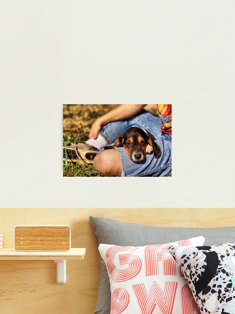 Thumbnail 2 of 3, Photographic Print, Lazy Days designed and sold by believer9.