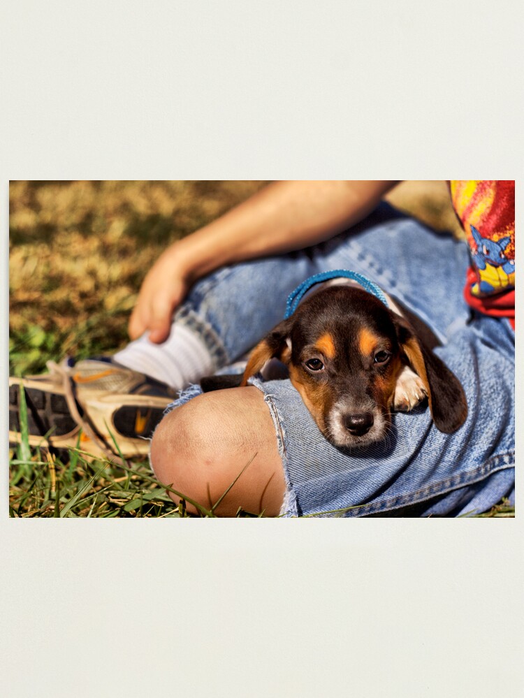 Thumbnail 1 of 3, Photographic Print, Lazy Days designed and sold by believer9.