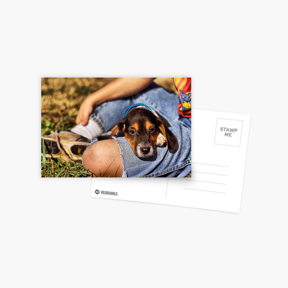 Item preview, Postcard designed and sold by believer9.