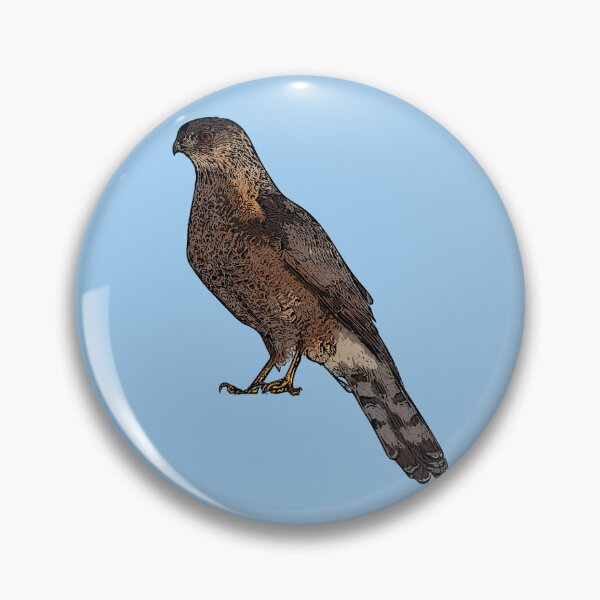 Item preview,  Cooper's Hawk Black Alternate Design  designed and sold by designsasstultd.