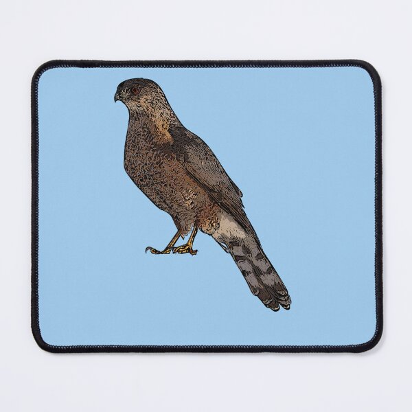 Item preview,  Cooper's Hawk Black Alternate Design  designed and sold by designsasstultd.