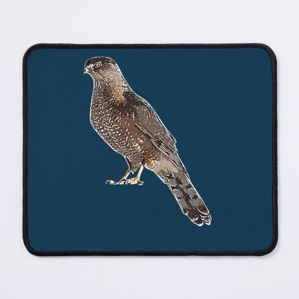 Item preview, Cooper's Hawk White Alternate Design  designed and sold by designsasstultd.