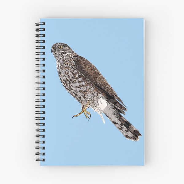 Item preview, Sharp Shinned Hawk Color Design  designed and sold by designsasstultd.
