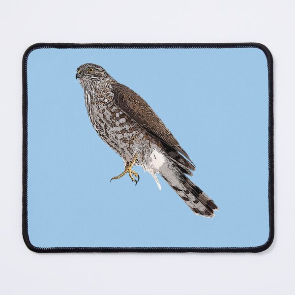 Item preview, Sharp Shinned Hawk Color Design  designed and sold by designsasstultd.
