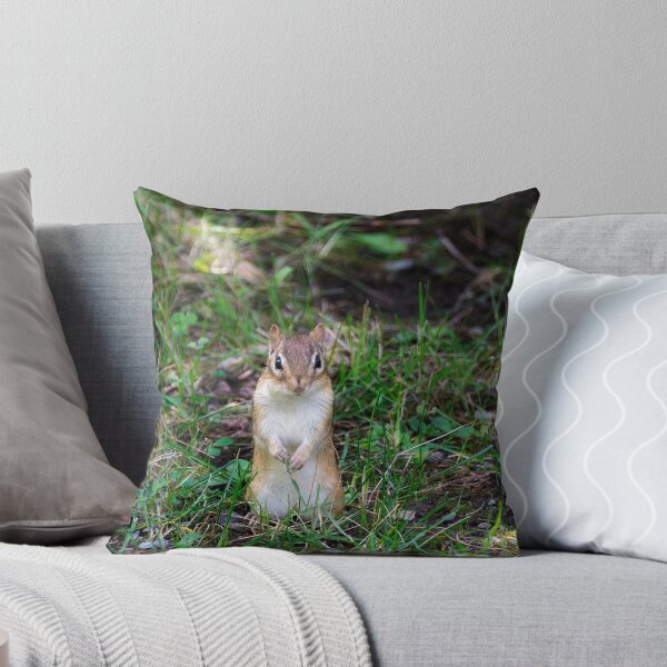 Item preview, Cute Chipmunk in Ottawa, Ontario designed and sold by jrtwynam.