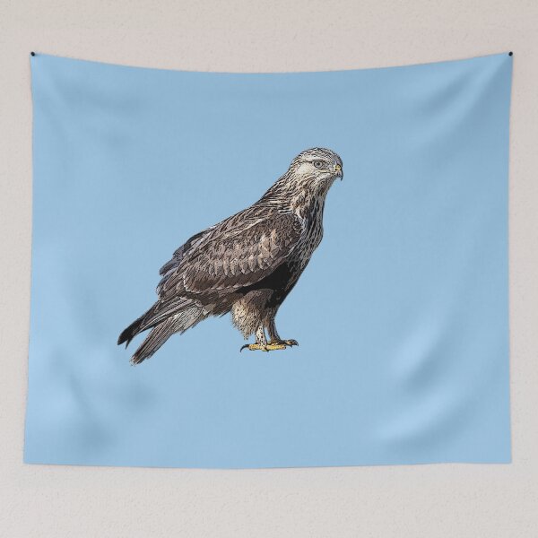 Item preview, Rough Legged Hawk Color Design  designed and sold by designsasstultd.