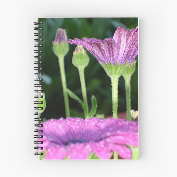 Item preview, Purple And Pink Daisy Flower in Perspective designed and sold by taiche.