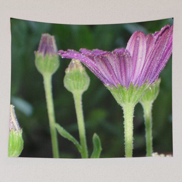 Item preview, Purple And Pink Daisy Flower in Perspective designed and sold by taiche.