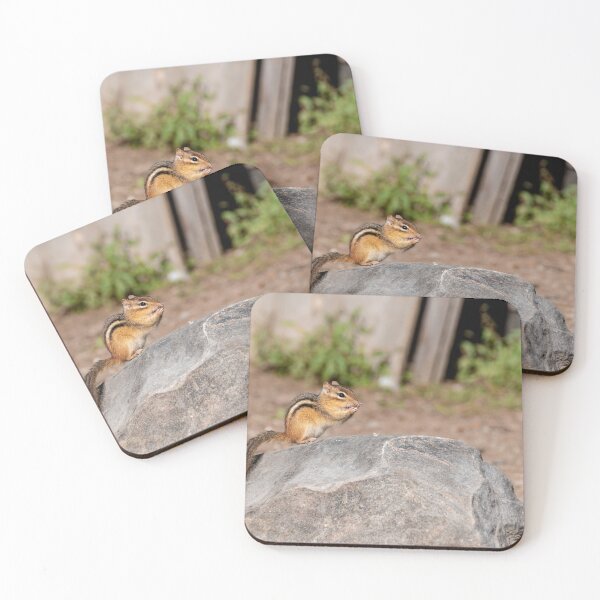 Item preview, Cute Chipmunk on a Boulder designed and sold by jrtwynam.