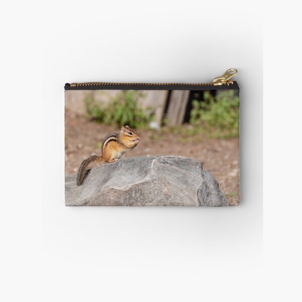Item preview, Cute Chipmunk on a Boulder designed and sold by jrtwynam.