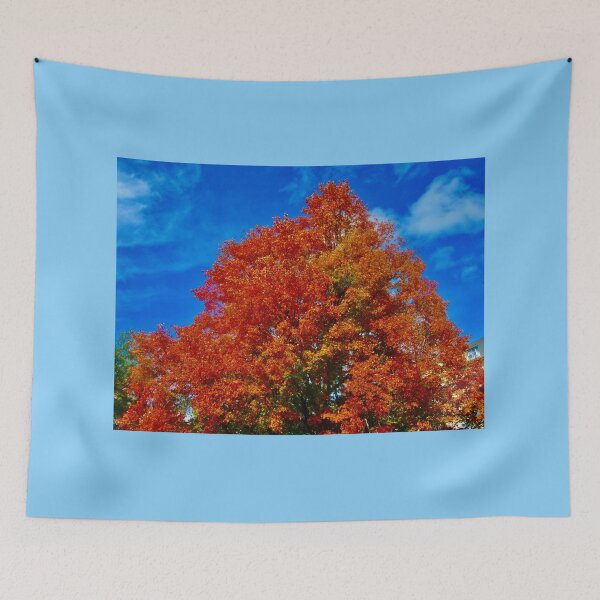 Item preview, Fall Trees designed and sold by Shulie1.
