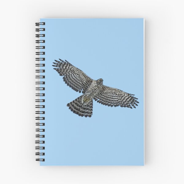 Item preview, American Northern Goshawk Flying Color Design  designed and sold by designsasstultd.