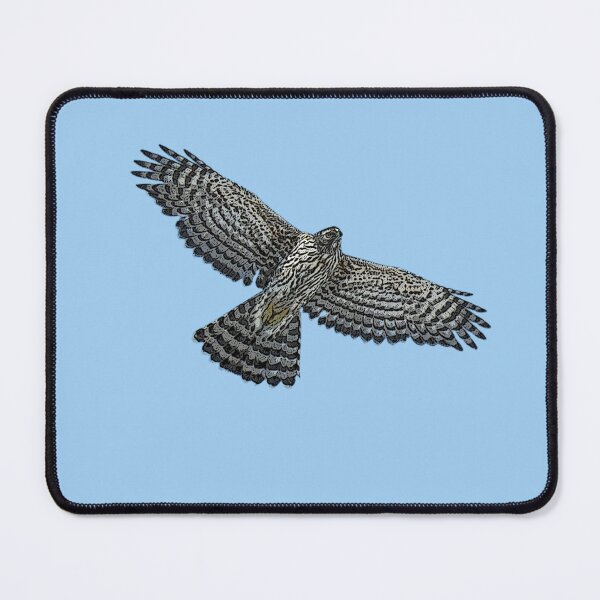Item preview, American Northern Goshawk Flying Color Design designed and sold by designsasstultd.