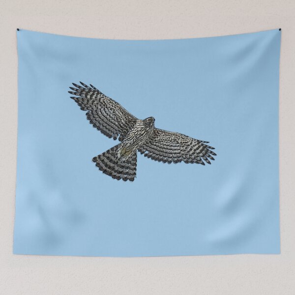 Item preview, American Northern Goshawk Flying Color Design  designed and sold by designsasstultd.
