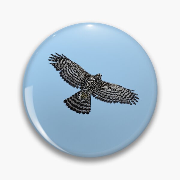 Item preview, American Northern Goshawk Flying Black Alternate Design  designed and sold by designsasstultd.