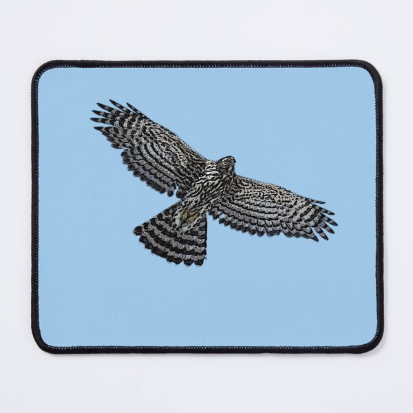Item preview, American Northern Goshawk Flying Black Alternate Design designed and sold by designsasstultd.