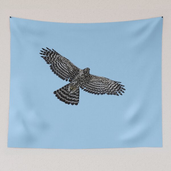 Item preview, American Northern Goshawk Flying Black Alternate Design  designed and sold by designsasstultd.