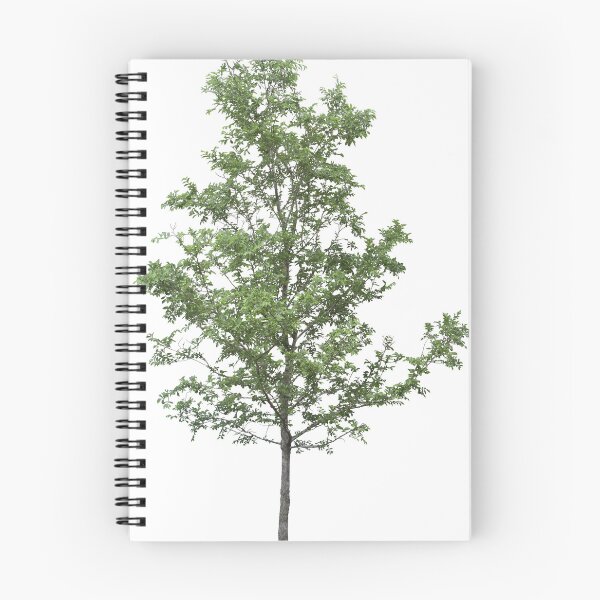 Artikelvorschau, Baum entworfen und verkauft von 70A5.