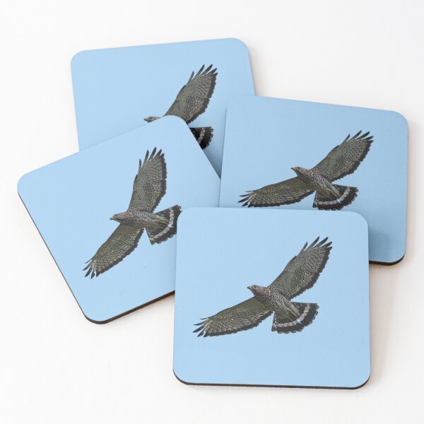 Item preview, Broad Winged Hawk Color Design  designed and sold by designsasstultd.