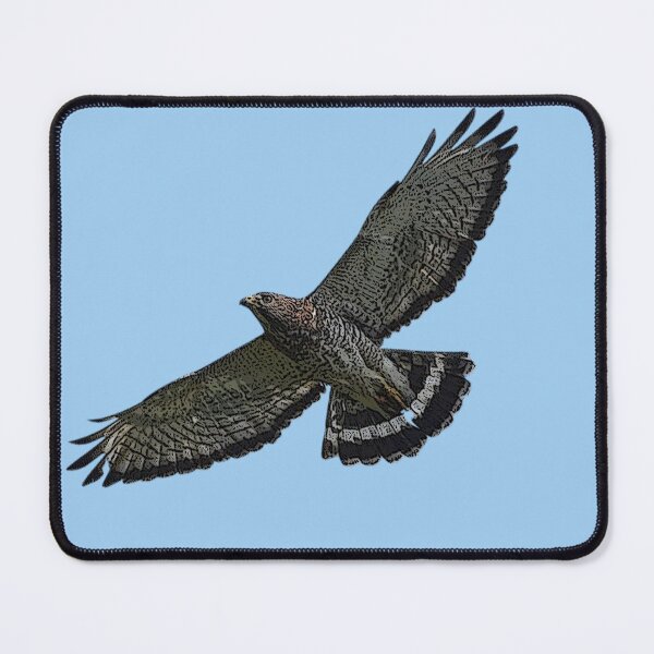 Item preview, Broad Winged Hawk Color Design designed and sold by designsasstultd.