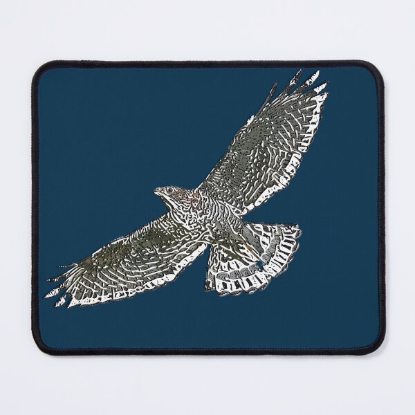 Item preview, Broad Winged Hawk White Alternate Design designed and sold by designsasstultd.