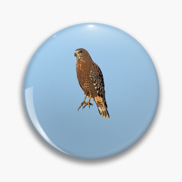 Item preview, Red Shouldered Hawk Perched Color Design  designed and sold by designsasstultd.