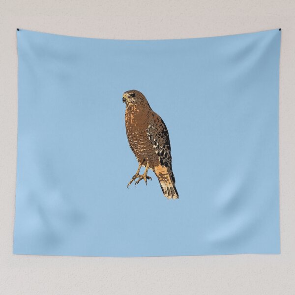 Item preview, Red Shouldered Hawk Perched Color Design  designed and sold by designsasstultd.