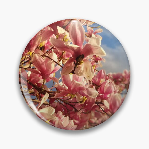 Item preview, Magnolias in bloom Ohrid, Macedonia designed and sold by distracted.