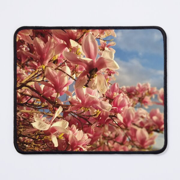 Item preview, Magnolias in bloom Ohrid, Macedonia designed and sold by distracted.