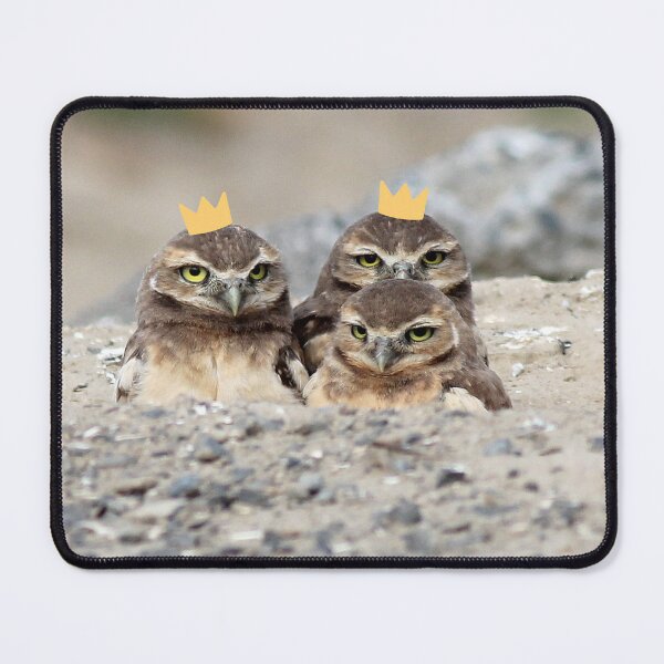 Item preview, Odd owlet out designed and sold by snowyowls.