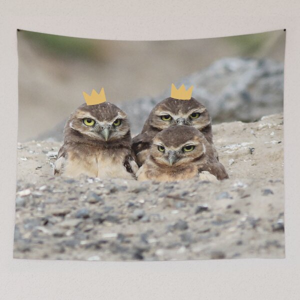 Item preview, Odd owlet out designed and sold by snowyowls.