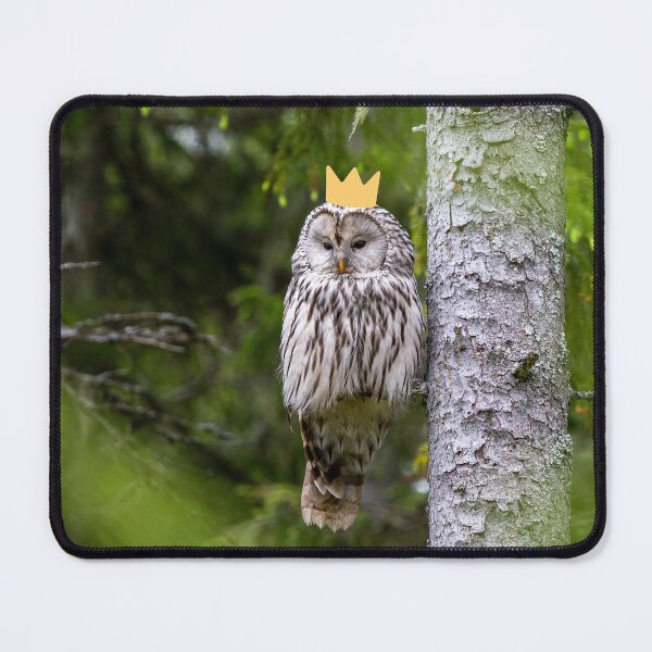 Item preview, Ural owl queen designed and sold by snowyowls.