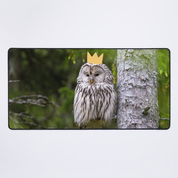 Item preview, Ural owl queen designed and sold by snowyowls.