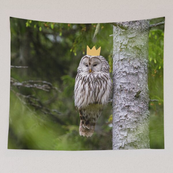 Item preview, Ural owl queen designed and sold by snowyowls.