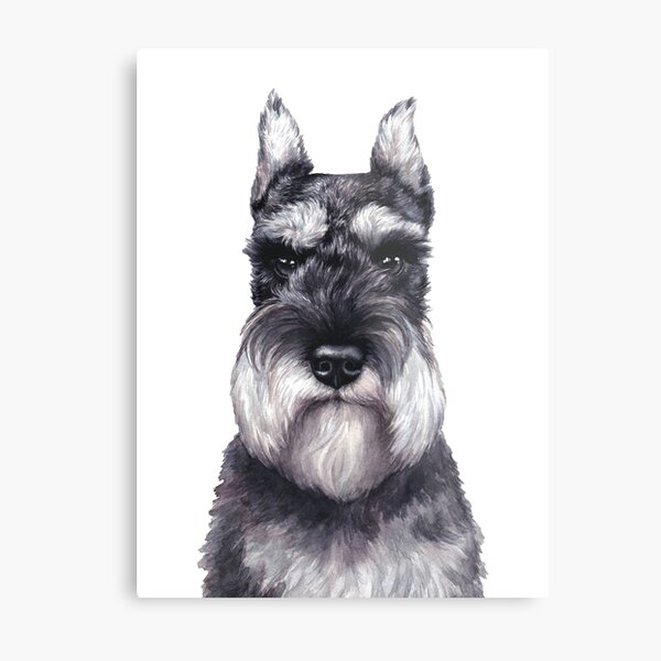 Item preview, Miniature Schnauzer Art Print, Card designed and sold by LisaCreativeLab.
