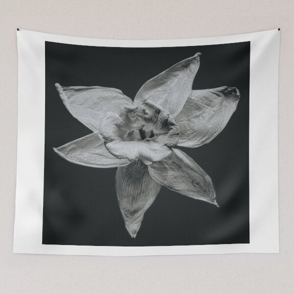 Item preview, Daffodil designed and sold by William Storey.