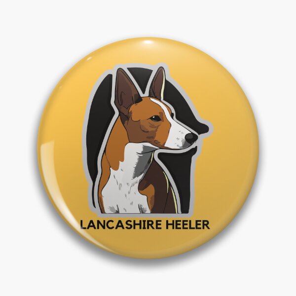 Artikelvorschau, Lancashire Heeler entworfen und verkauft von EYE-CATCHINGG.
